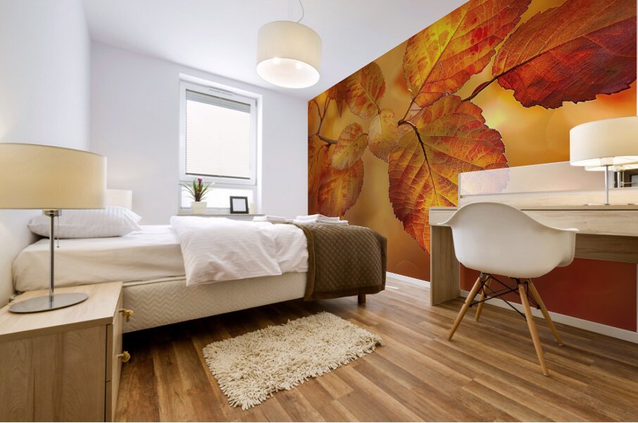 Autumn Leaves Glowing Y59H7N 45 Mural print