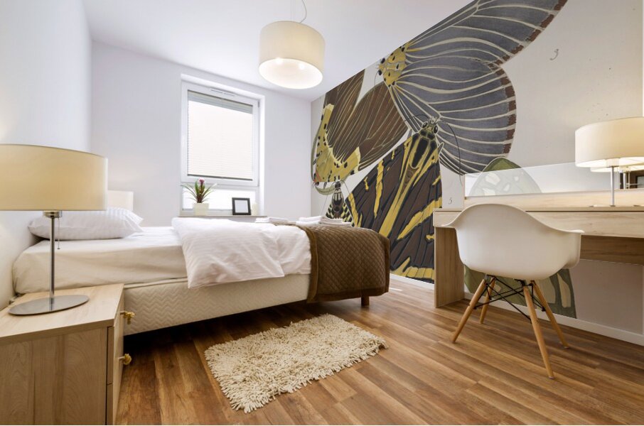 Papillons Pl.14 [1920] by Emile–Allain Séguy [1877–1951] Mural print