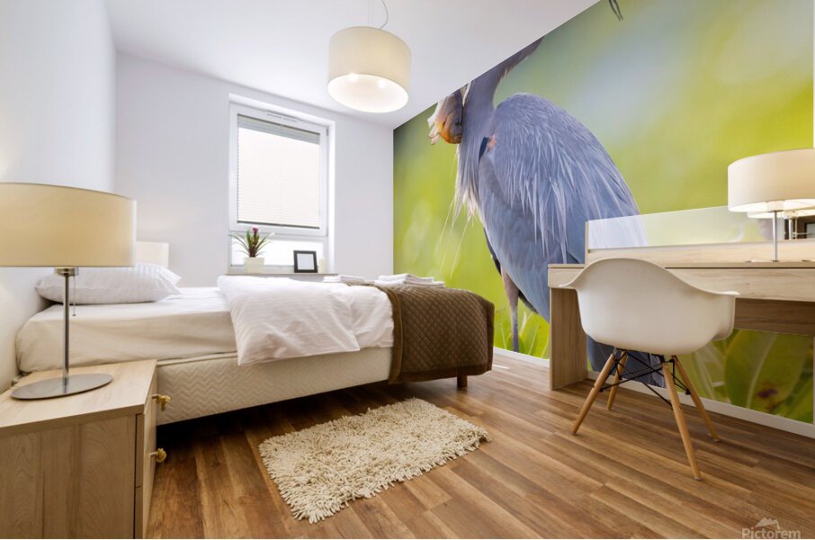 Great Blue Heron 2670 Mural print