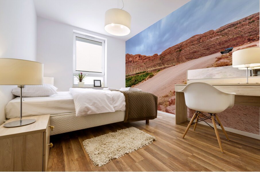 Poison Spider Trail View Mural print