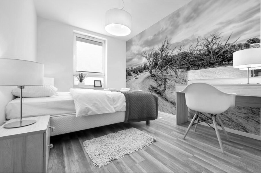Juniper Along Mesa Arch Trail Grayscale Mural print