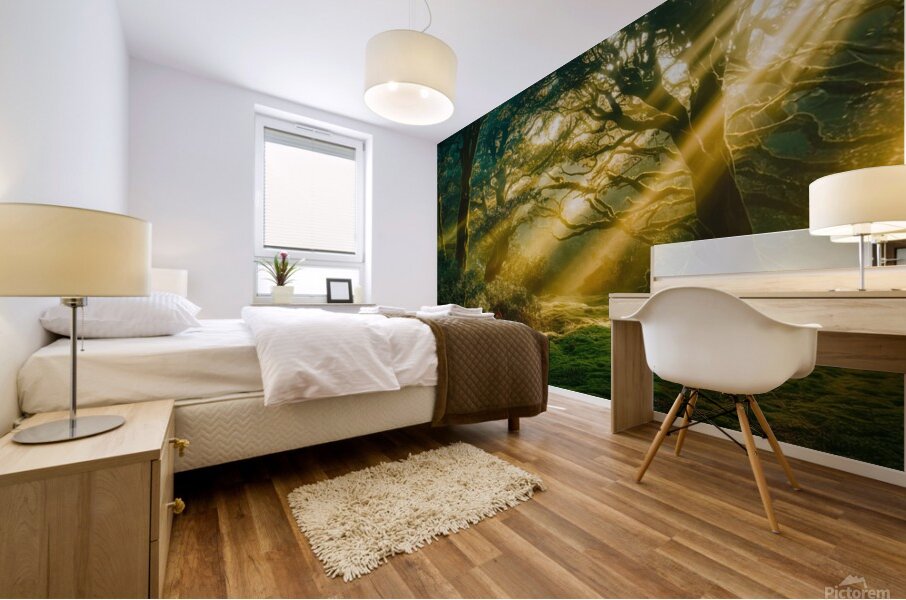 Abstract Nature Canvas Print - Modern Wall Art with Vibrant Colors & Dynamic Shapes Mural print