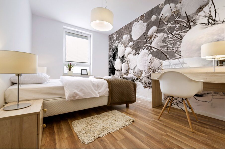 Snowcovered hydrangeas  Mural print