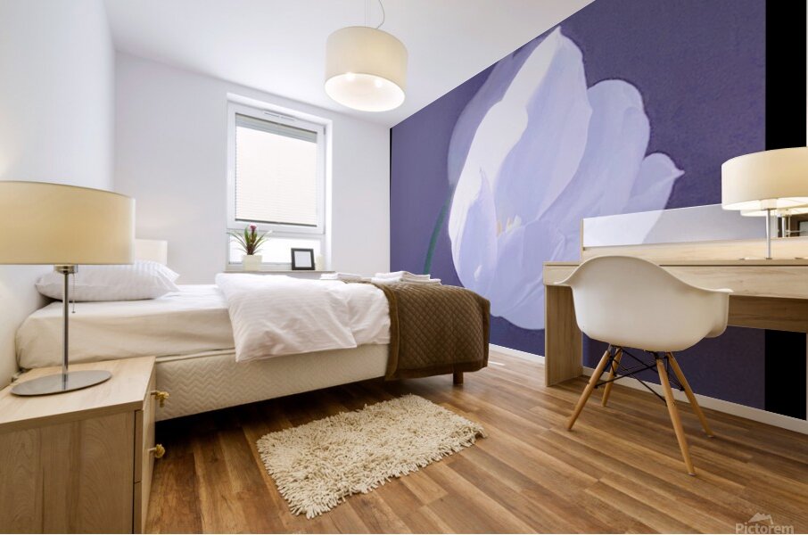 IMG 9929 Mural print