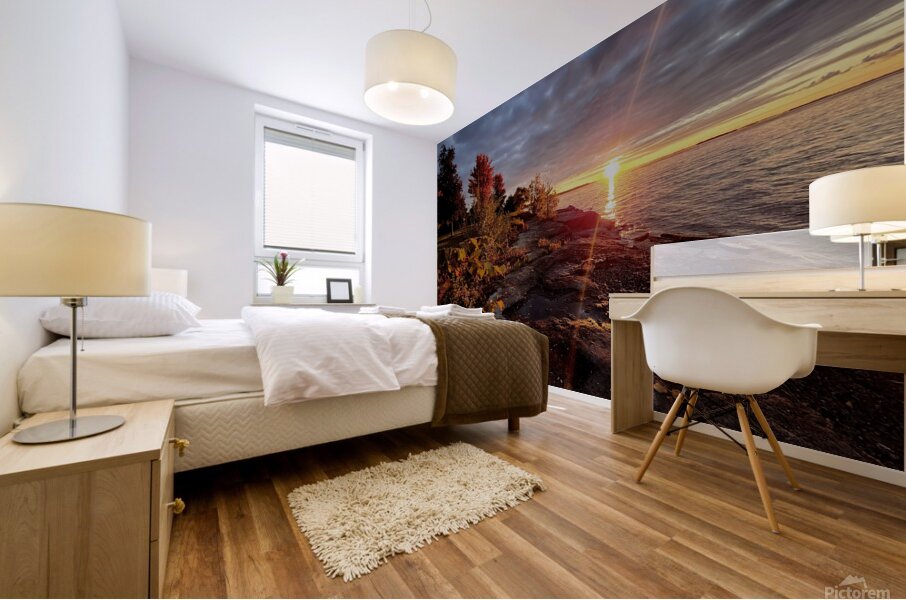 20241009 072349 Mural print