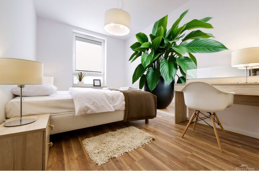 Vibrant Green Plant in Modern Black Pot Mural print