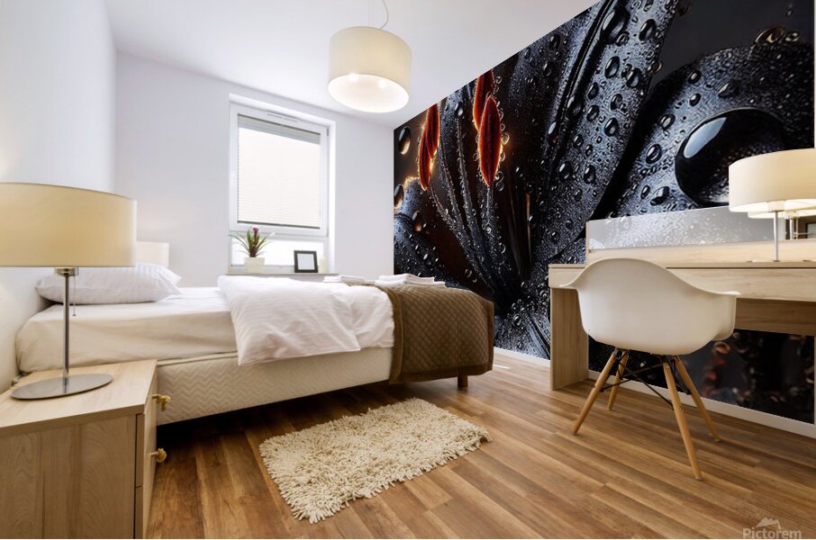 Black Lily with Dewdrops – A Stunning Dark Floral Macro Photography Mural print