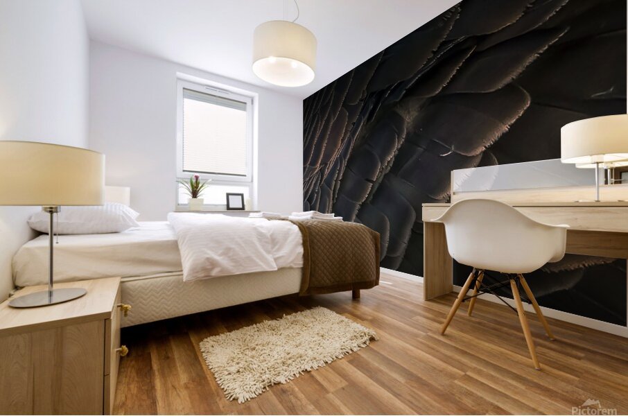 Goose feathers Mural print