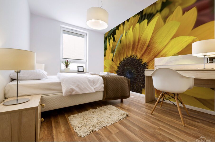 sunflower Mural print