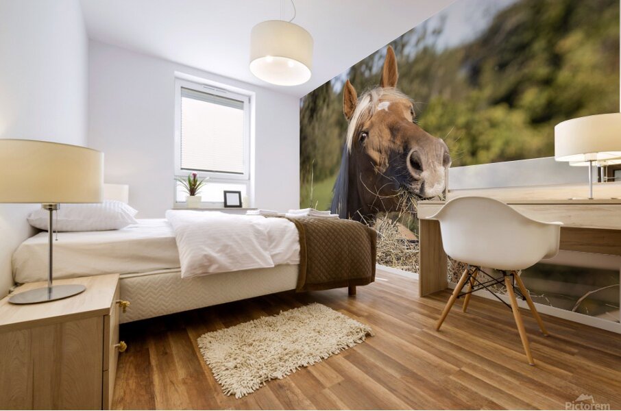 Palomino side eye Mural print