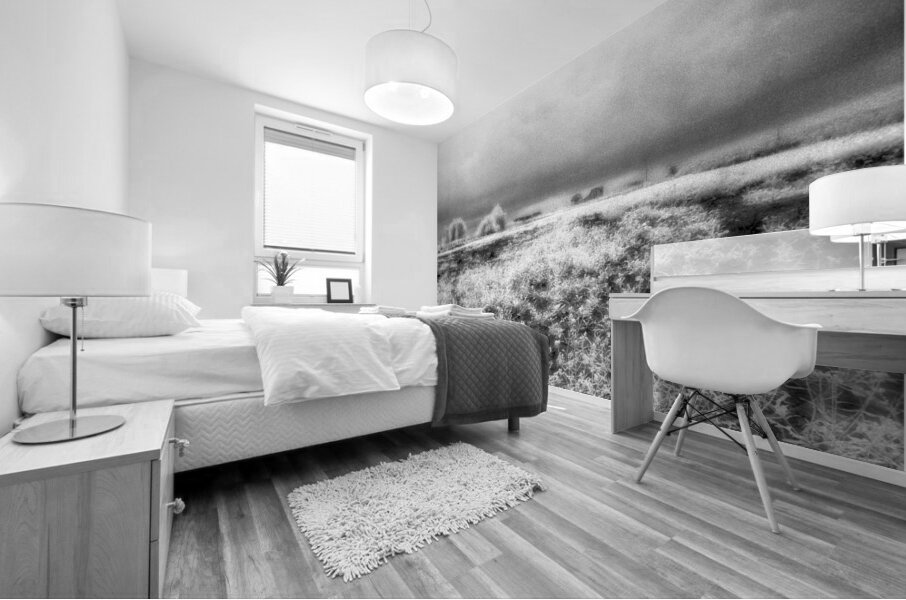 Barn In Field Infrared Mural print