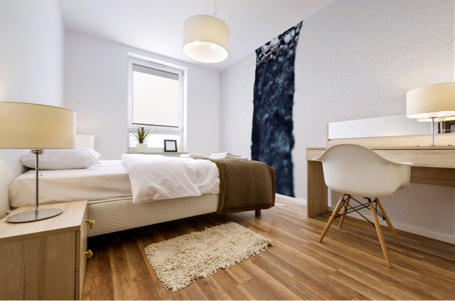 Burned III Mural print