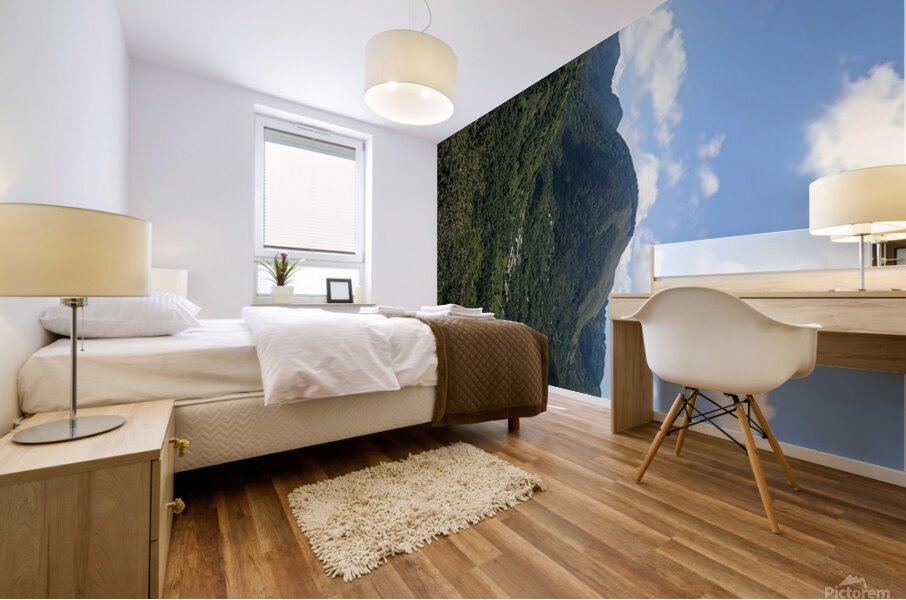 20241208 095243 Mural print