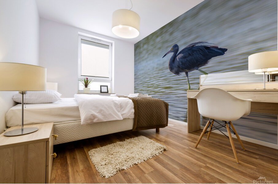 Little Blue Heron 3242 Mural print