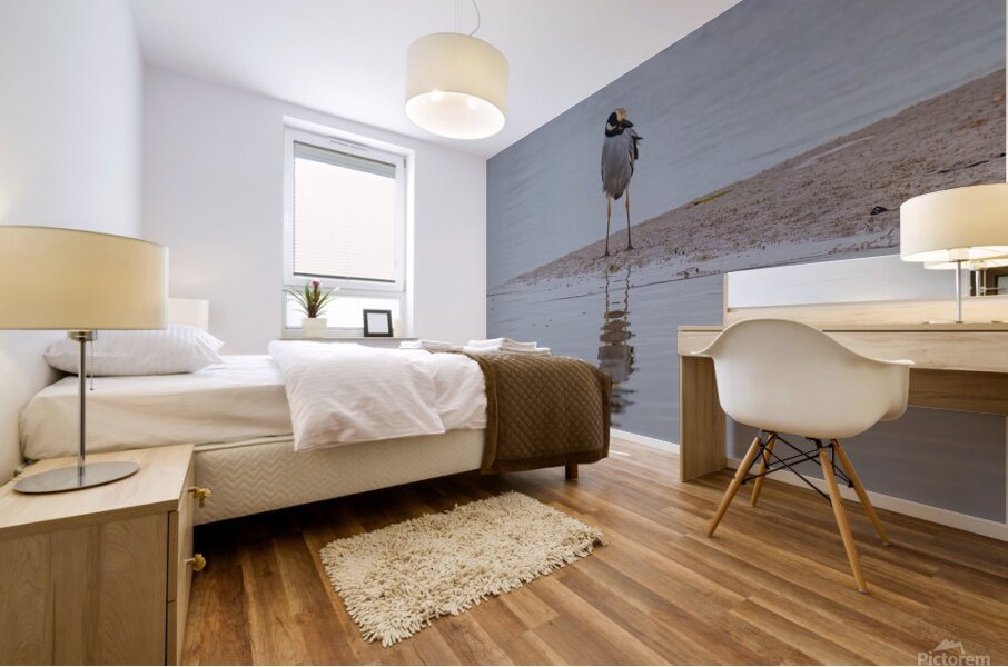 Yellow crowned Night Heron 4831 Mural print