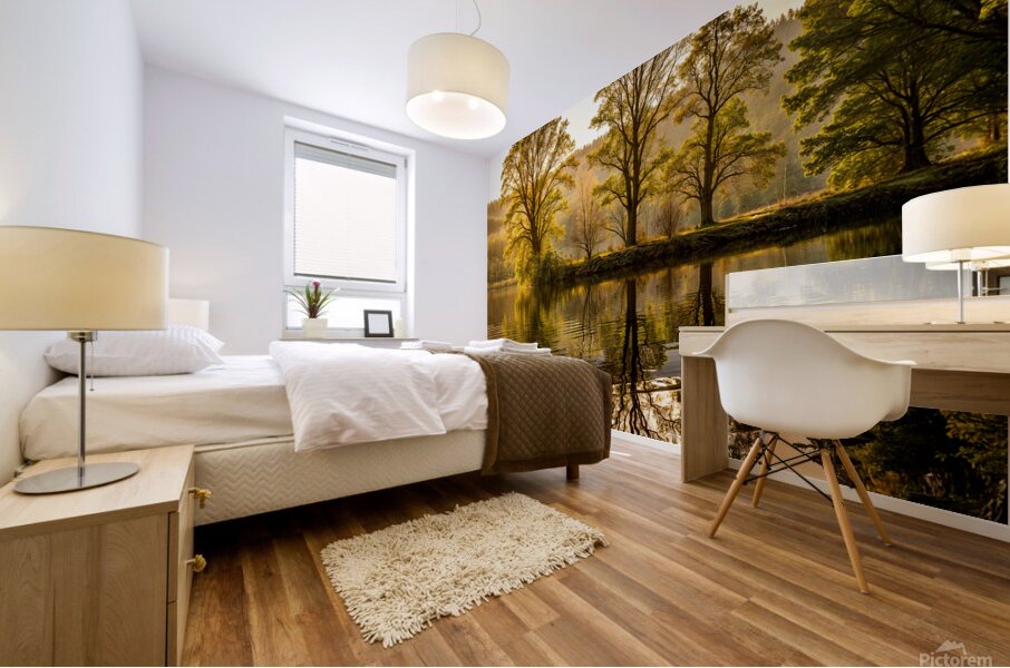 Reflection Of Trees In A Lake Mural print