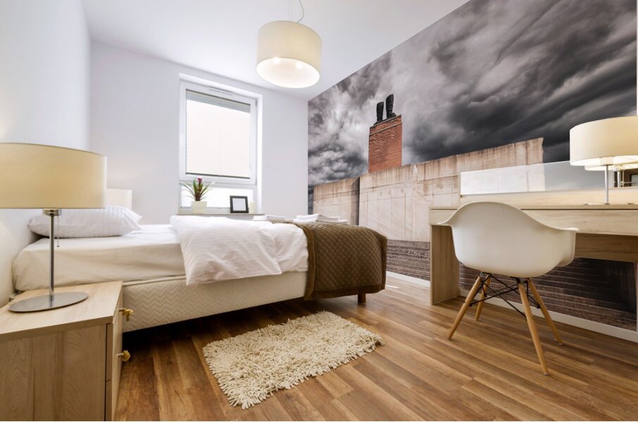 Stalin monument Mural print