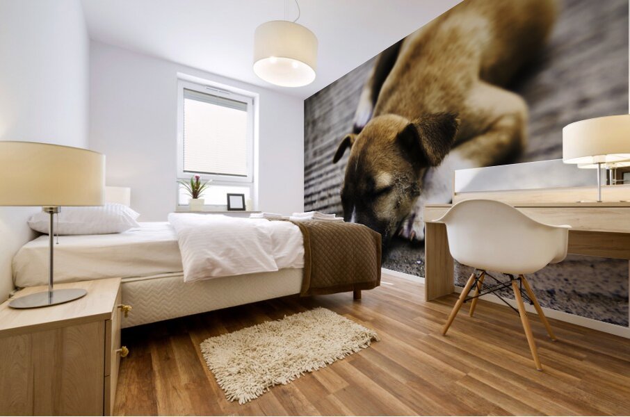 Resting Innocence – Cebu Philippines Mural print