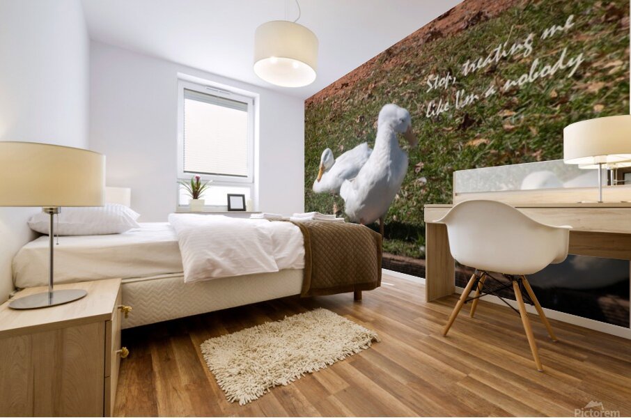 Ducks gathering together discussing Mural print
