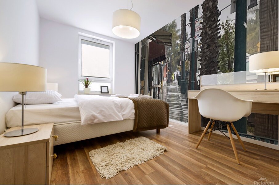 IMG 4839 Mural print