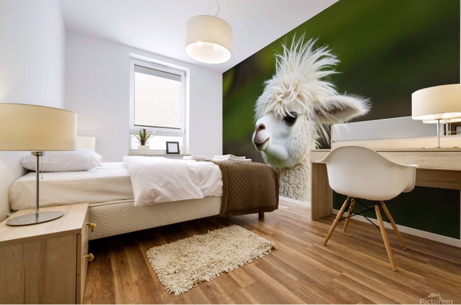 Alpaca with a Funky Hairstyle Mural print