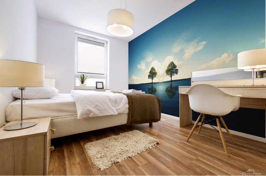 A Heart-Shaped Reflection in Water Mural print