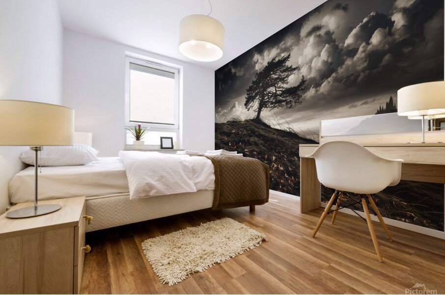 Autumn Forest Path: Serene Nature Landscape Photography Mural print