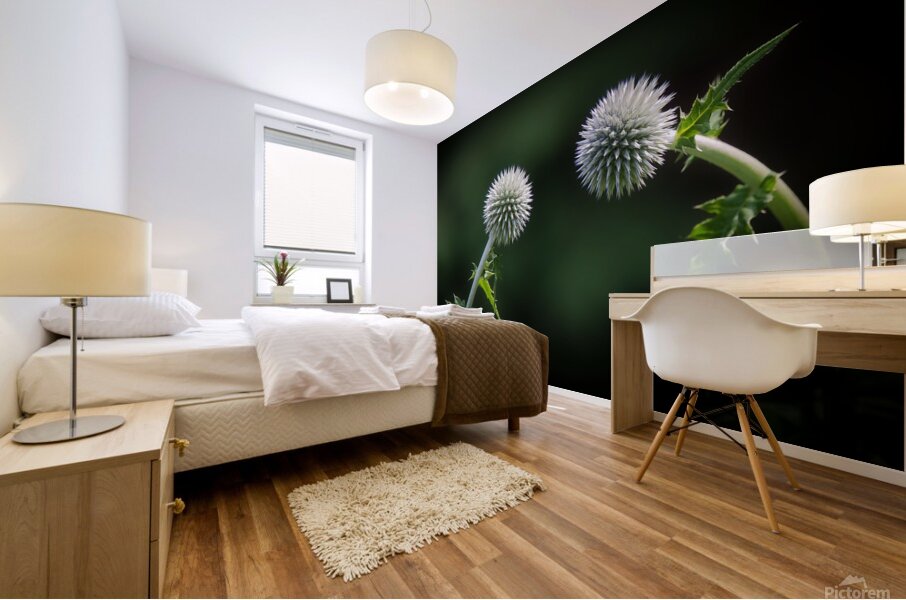 Take a bow Mural print