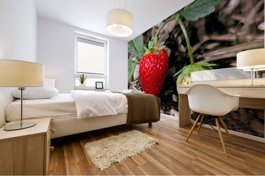 Two Albion Strawberries Mural print