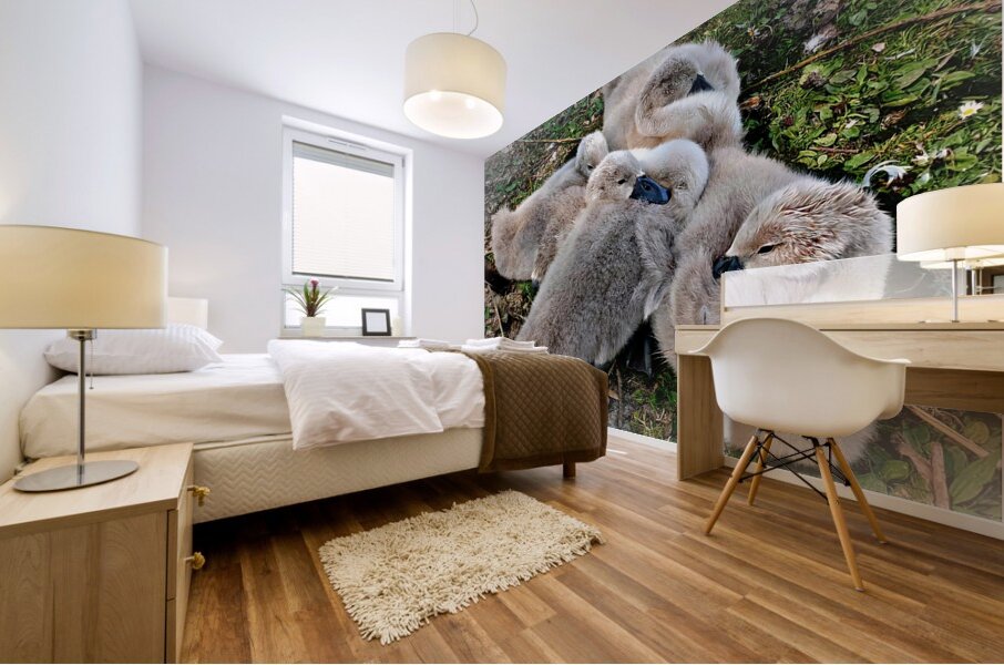 Nestled Together Mural print