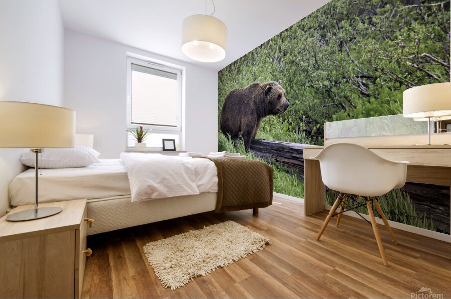 Brown Bear Mural print