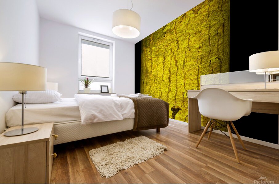 kakazo I Mural print