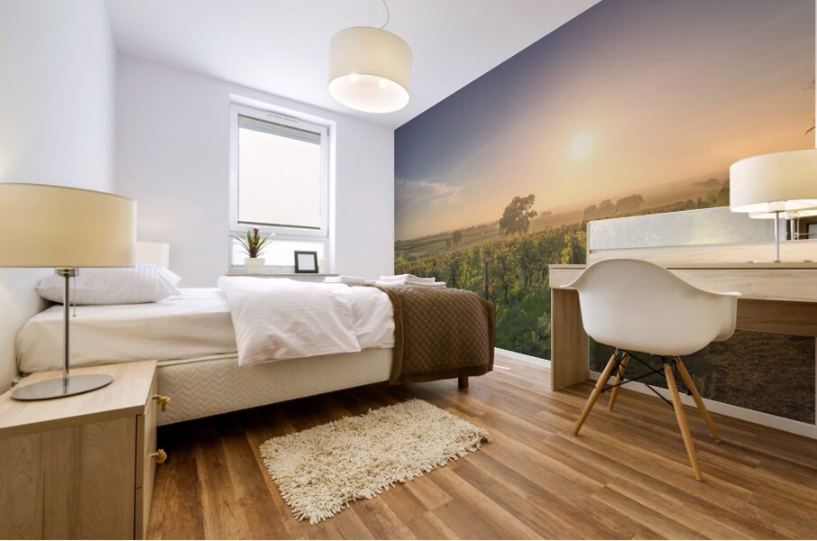 Bolgheri vineyards and trees in a foggy sunset Mural print