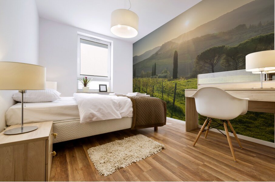 Chianti vineyards landscape at sunset. Tuscany Mural print