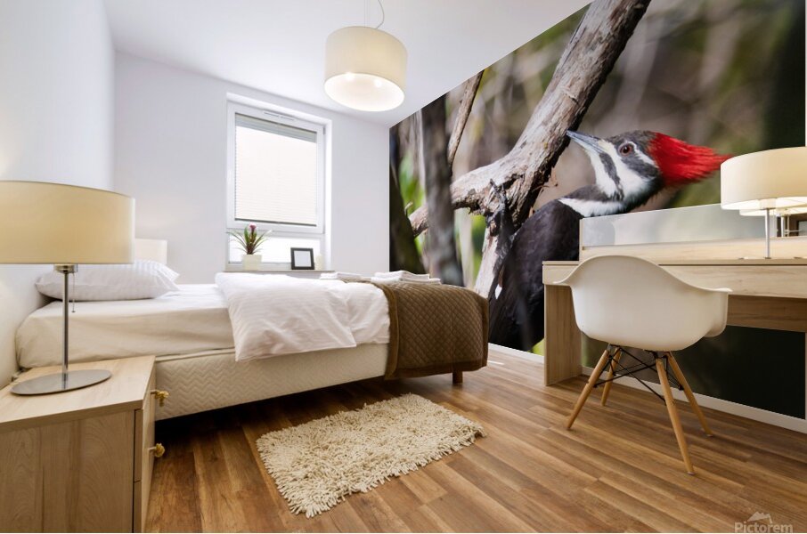 Pileated Woodpecker 7819 Mural print