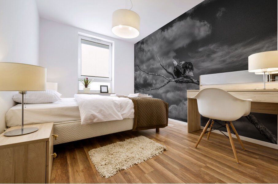 FS250211BW EAGLES CALLING Mural print