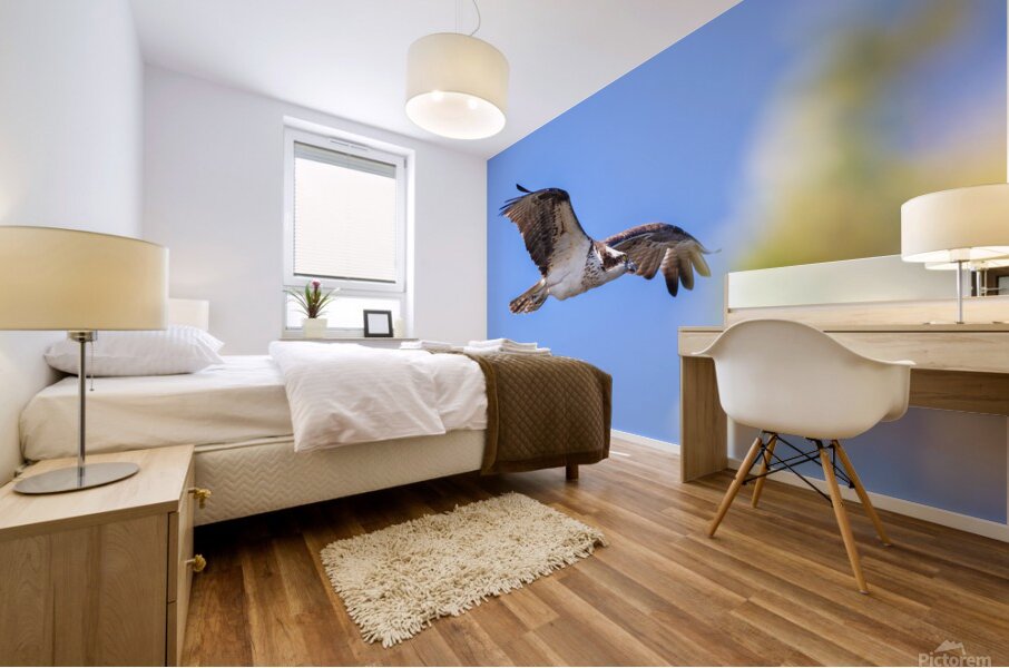 Osprey 5011 Mural print