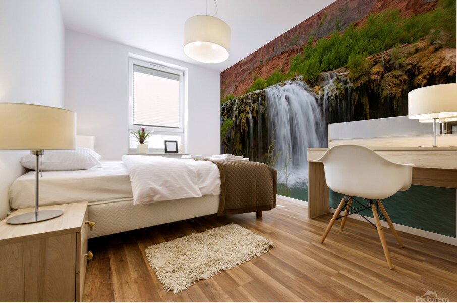  havasu falls 9877 Mural print