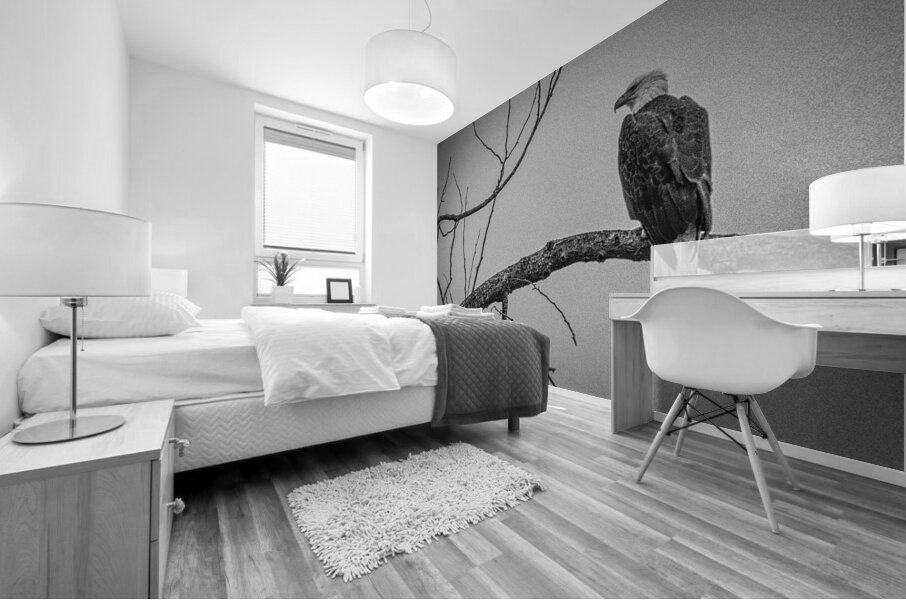 FS250209 ANTIQUE BW Mural print