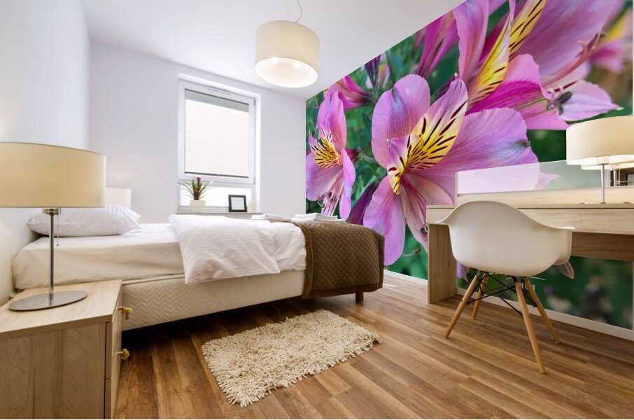 Alostremia Mural print