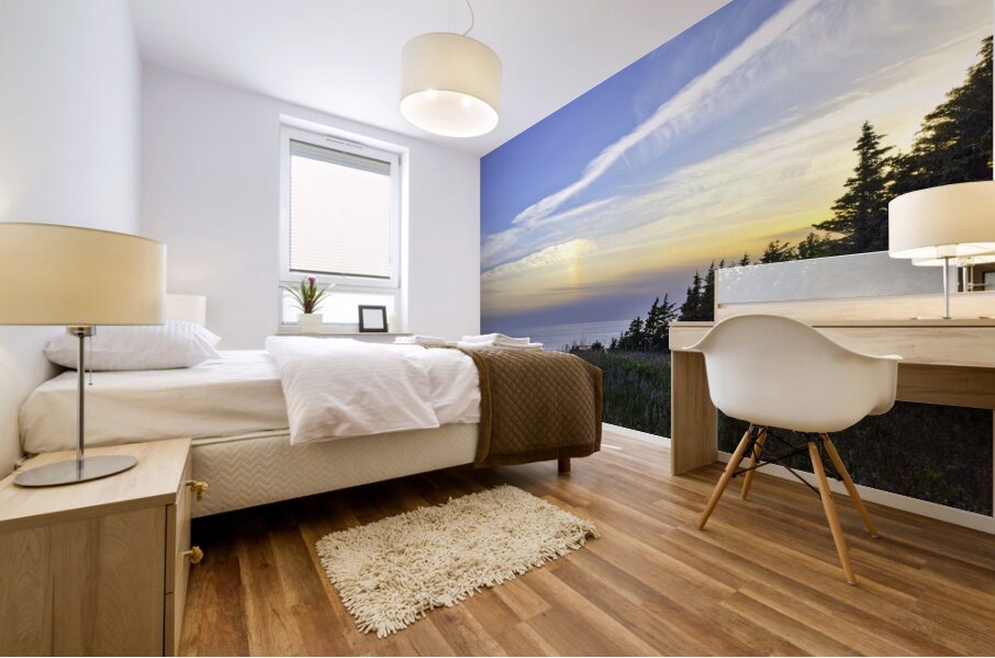 Meditation Ecola State Park Oregon Mural print