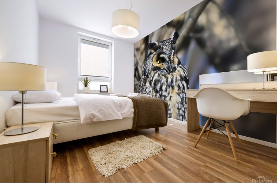 Concentration  Mural print