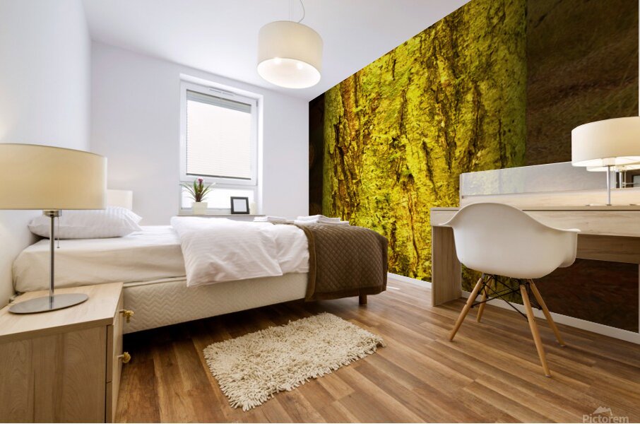 friluftsliv I Mural print