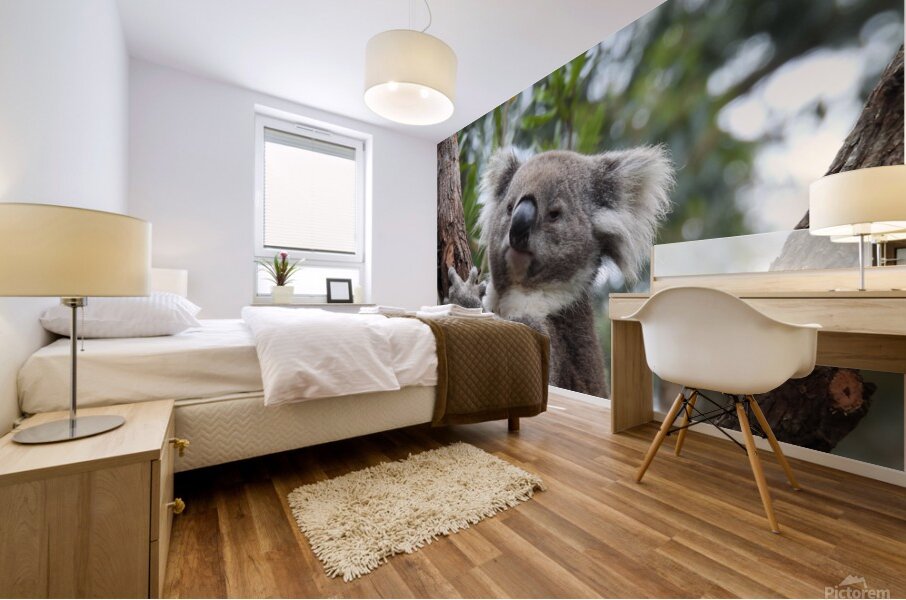 Koala in Tree Mural print