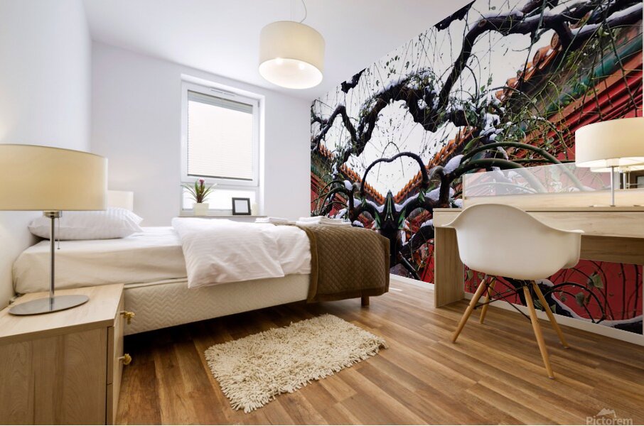 GLANCE - 1.2 – Free Shipping Mural print