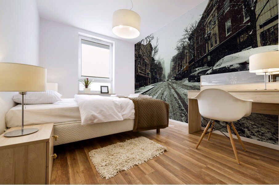 Icy Road Mural print