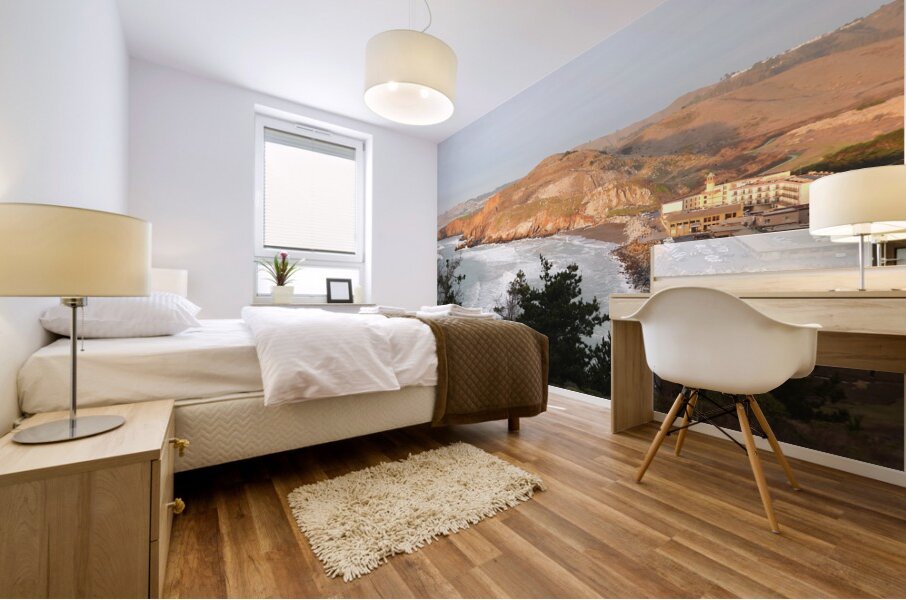 DSCN6780 Mural print