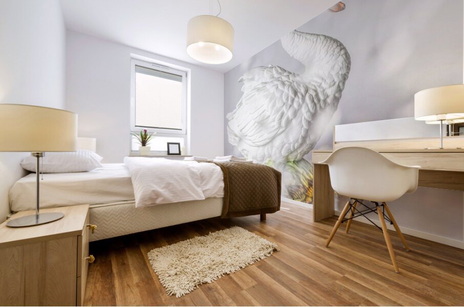 White swan Mural print