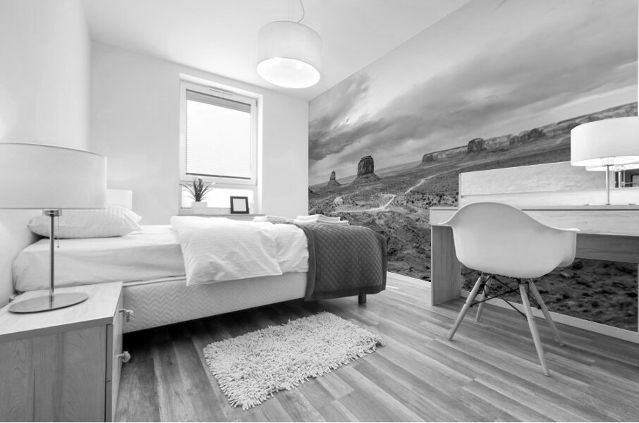 Evening At Monument Valley Pano Grayscale Mural print