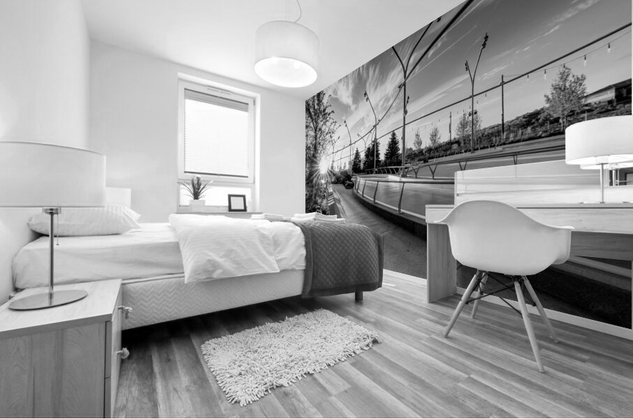 Omaha Skate Park Golden Sun Star Grayscale Mural print